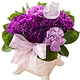 遅れてごめんね　母の日 カーネーション ギフト ムーンダスト キャトルムーン