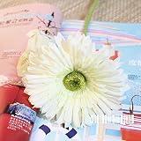 haibei ガーベラ 造花 花びら インテリア 結婚式用 (花のみ)10枚入り