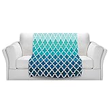 ブランケットウルトラソフトFuzzy 4サイズ！DIANOCHEデザインからホームDecor Unique Designer芸術的スタイリッシュなbedroomcouchまたはブランケットby有機彩度