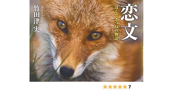 恋文 ぼくときつねの物語 竹田津 実 光雅 安野 淳 三村 本 通販 Amazon