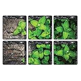 TOOGOO ( R ) Peel and Stick非スリップPVC BathtubステッカーBathtubアップリケ浴槽Decals Green Leaves Pattern