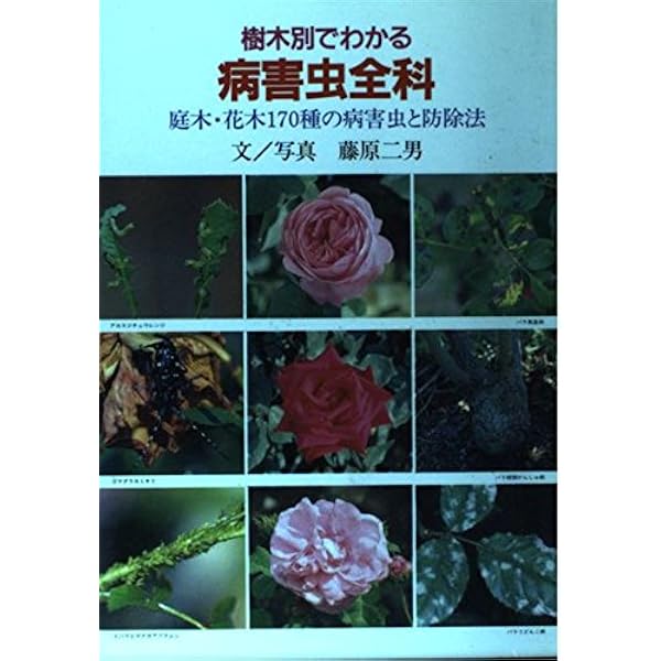 樹木医完全マニュアル | 堀 大才 |本 | 通販 | Amazon