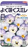 サカタのタネ 実咲花5567 よく咲くスミレ カラーパレット ソーダ・ラテ 00905567