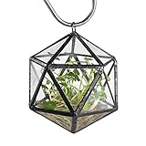 Geometric Terrarium ガラス ポリゴン ミニ二十面体　幾何 ジオ　テラリウム 植木鉢 多肉植物 ミニ景観 盆栽 プランター モス 苔 コケ モストレ サボテン ファーン フラワーポッ