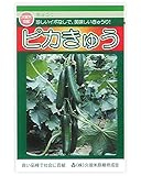 久育種苗 ピカきゅう[きゅうり/イボなし] 1袋(15粒) [久留米原種育成会]