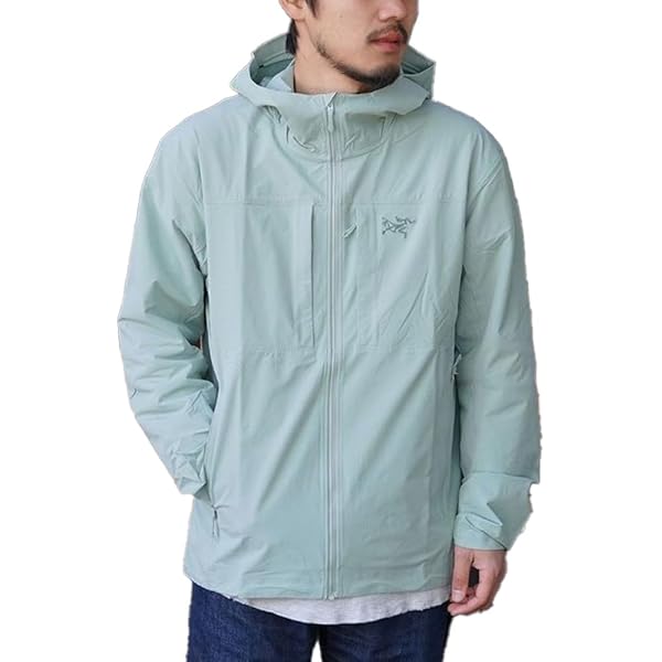 Amazon | ARC'TERYX(アークテリクス) セリウム フーディ メンズ