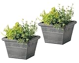 軟質プラスチックプランター ローズ スクエア ブラック 305×305×210Hmm 3063-BK 2個セット