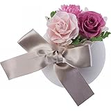 nobrand アニヴェセル（プリザーブドフラワー） オブジェ コライユ(3271)