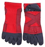 [エルゴスター] クロステーピングソックス 5本指 ショート丈 ランニング ソックス レッド×チャコール 22.5-24cm Sサイズ