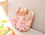 M.Z.L　ベビー おしゃれ 靴　フラワー モチーフ サンダル　夏 赤ちゃん キッズ 履き心地 柔らか マジックテープ ストラップ 滑り止め 付き 可愛い 花 女の子 シューズ (14cm, ピンク)