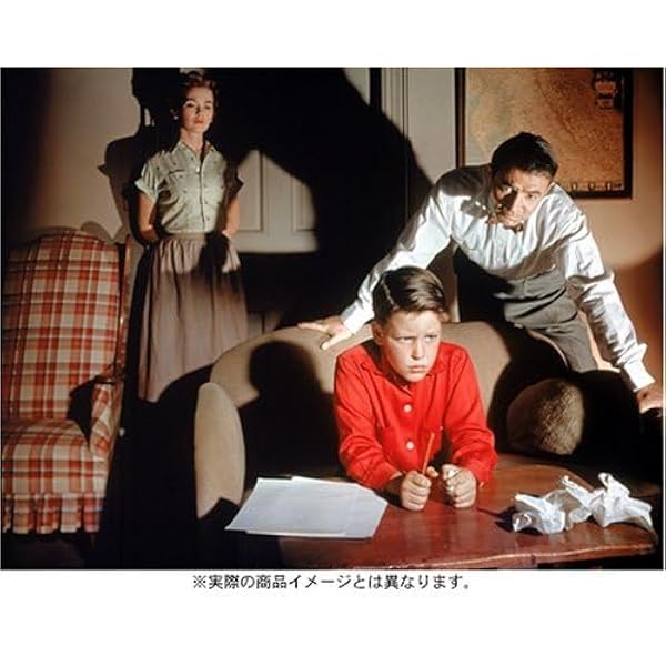 ビガー・ザン・ライフ　黒の報酬　ニコラス・レイ監督 DVD ビガー・ザン・ライフ 黒の報酬 ニコラス・レイ監督 DVD