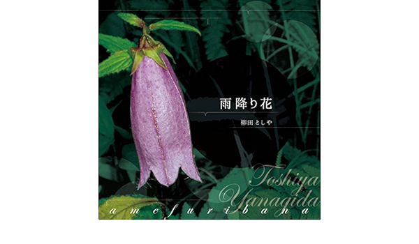 雨降り花 Amazon Co Jp