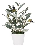 造花 観葉植物 「miniオリーブ H30cm」 光触媒(空気清浄) インテリアグリーン ポットタイプ