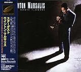 �X�^�[�_�X�g