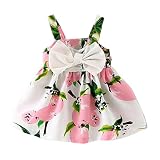 YAYUYAO 女の子 レモン ノースリーブ 幼児の服 蝶結び ノースリーブ プリンセス ガルス ドレス 赤ちゃん通園 発表会 旅行 日常 0-24ヶ月 プリンセス (ピンク, 70/0-6ヶ月)