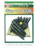 久育種苗 キューリー夫人[きゅうり/白イボ] 1袋(15粒) [久留米原種育成会]