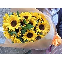 51h3OlwXPdL._AC_UL210_SR210,