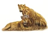 8インチLioness Lion Prideジャングル動物African Safari Africa取り外し可能なピールセルフスティック粘着ビニール装飾壁デカールステッカーアート子供ルームホーム装飾ガ