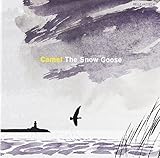 ����(2013�N���@�[�W����)