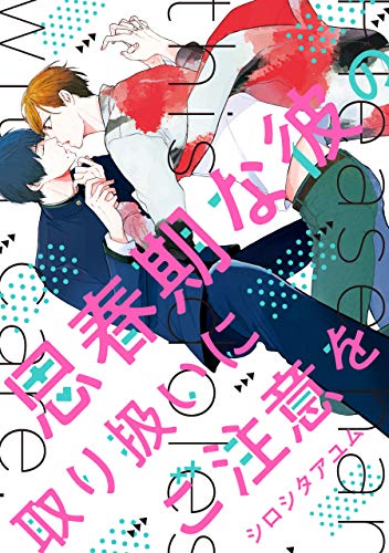 思春期な彼の取り扱い