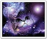 JP London POS2252 uStrip Peel and Stick Removable Wall Decal Sticker Mural Space Cat Galaxy Nebula S