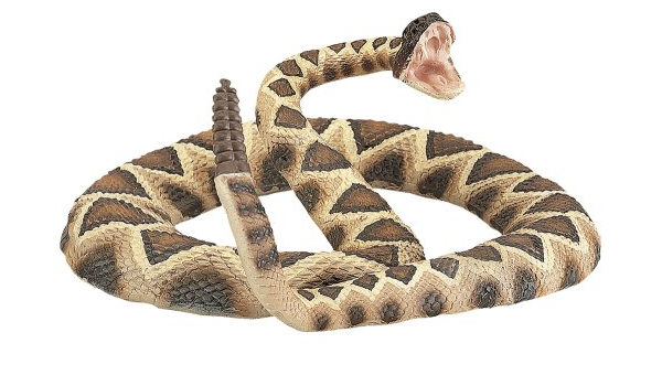 Amazon サファリ レプリカ ヒガシダイヤガラガラヘビ 生物 動物 人体 おもちゃ