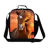 Generic Family Picnic Bag Sling Lunch Bag for Students School [並行輸入品]