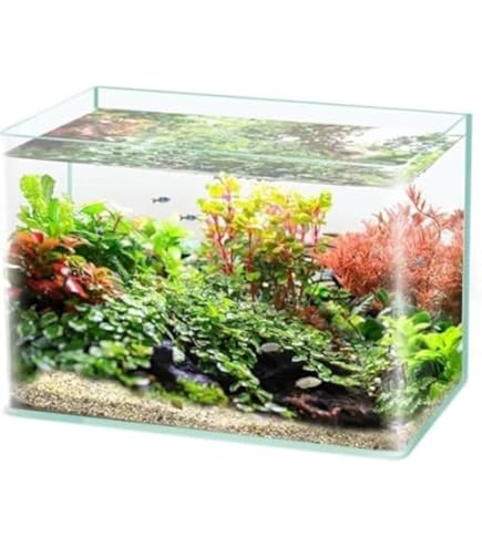 Amazon | GEX グラステリア600水槽 （60×30×40） 60cm