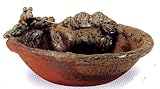 蛙・亀付　水鉢１３号　（ｓｖ１０７－０２）