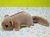 ぬいぐるみ スターチャイルド ヤマネ