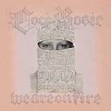 We Are on Fire [7 inch Analog]