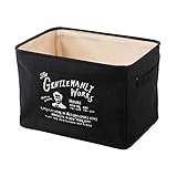 インナーボックス カラーボックス用 Gentry Works - ジェントリーワークス - ブラック 幅37×奥行25×高さ25cm DS-1752BK インターフォルム(Interform) DS-1752BK