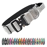 TSPRO プレミアムハンドル付き犬用首輪｜調節可・クイックリリース｜中型～大型犬用 (ぎん L)