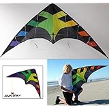 "入門用スポーツカイト"【カイト専門店/Flying Wings Kite】SPIDER Rainbow