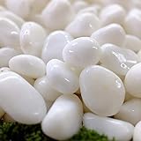 TAIKOH [高級白玉砂利] 白仙 5分 (16~23mm) 30kg