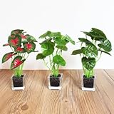 NIUA 人工観葉植物 ミニ観葉植物 レストラン、喫茶店 廊下　書店　寝室、引出し室、ホテル、机との装飾　3鉢入（銅銭草、赤里芋、緑里芋）