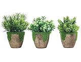 NIUA 造花 鉢植え造花 人工観葉植物 人工多肉植物 手芸 綺麗 枯れない スーツ 家庭装飾品　雑貨 お誕生日 お祝い ギフト インテリア 飾り 3鉢入（ミラノ草、雪蘭草、タソン草）