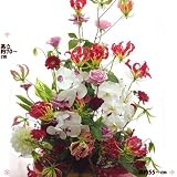 還暦お祝いの花 華やかに赤白豪華フラワーバスケットアレンジ お祝い札付