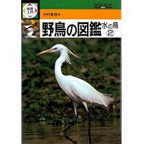 検索入門 野鳥の図鑑 (陸の鳥 1) | 中村 登流 |本 | 通販 | Amazon
