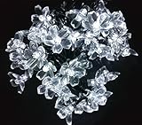 ノーブランドモモの花型ロープライトイルミネーション　ソーラー充電式　LEDライト　手動点灯　50球　7M　防滴仕様　2パターン点灯　クリスマスライト　パーティー飾り　結婚式飾り