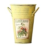 VANCORE Nostalgia Style Shabby Chic Mini Metal Bucket Vase for Home Decoration [並行輸入品]