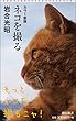 カラー新版 ネコを撮る (朝日新書)