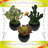 造花 フェイクグリーン 多肉植物 3個セット 黒B サボテン グリーンプラント インテリアグリーン