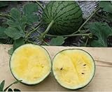 Vonnie Ling small watermelon seed 10 seeds small family organic vegetable garden seeds 2