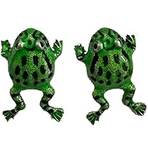 Amazon | ファッションカエルイヤーカフイヤリング非ピアスカエル