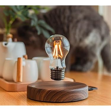 Amazon.co.jp 最新リリース: ベッドサイドランプ の新着ランキングです。