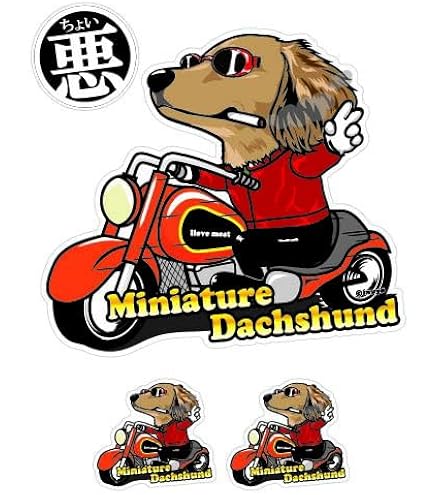 ダックスです 今からダックス50を BASの神戸デポに持ち込みに行きます