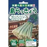 島らっきょう 100 g
