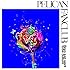 PELICAN FANCLUB「Boys just want to be culture」
