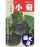 アサヒ農園 早生小菊南瓜（かぼちゃの種）【固定種】 小袋(10ml)